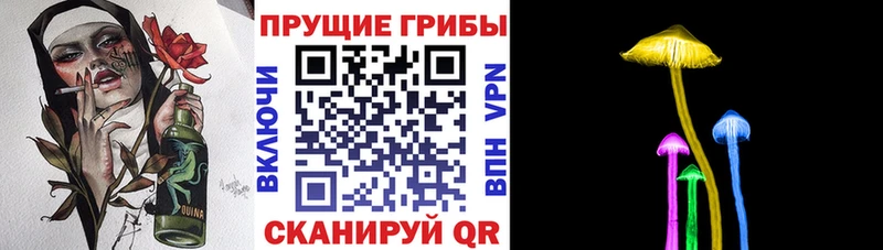 Галлюциногенные грибы Psilocybe  mega ТОР  Котельники 