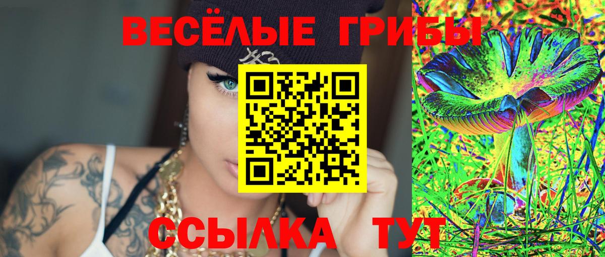 Галлюциногенные грибы Psilocybine cubensis  Вход с VPN  Котельники 