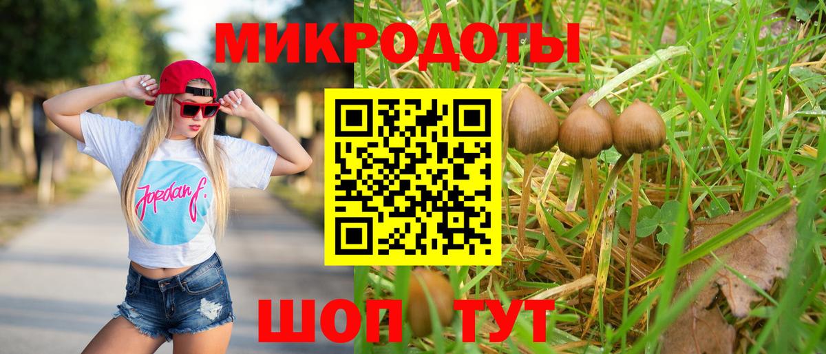 Галлюциногенные грибы прущие грибы Котельники